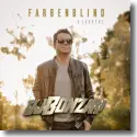 Cover:  DJ Bonzay & Laurenz - Farbenblind