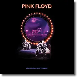 Cover: Pink Floyd - Delicate Sound Of Thunder (Restored. Re-edited. Remixed.)