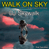 Cover: DJ Skywalk - Walk On Sky