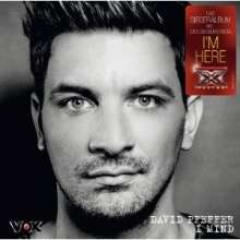 Cover: David Pfeffer - I Mind
