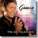 Cover:  Sebastian Gmez - Wie ein Feuerwerk