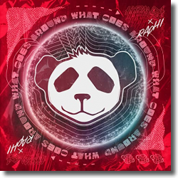 Cover: Hypanda x Raphi - What Goes Around