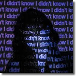 Cover: Decco feat. James Gillespie - I Didn't Know (LIZOT Remix)