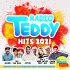 Cover: Radio Teddy Hits 2021 