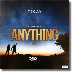 Cover: TeCay - Anything