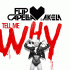 Cover: Flip Capella & Akela - Tell Me Why