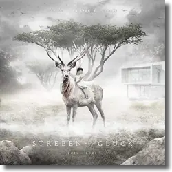 Cover: PA Sports - Streben nach Glck