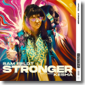 Cover: Sam Feldt feat. Kesha - Stronger
