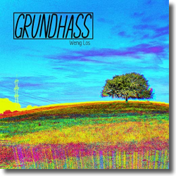 Cover: Grundhass - Wenig Los