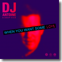 Cover:  DJ Antoine & Deep Vice - When You Want Some Love
