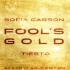 Cover: Sofia Carson & Tiësto - Fool's Gold (Tiësto 24 Karat Gold Edition)
