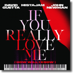 Cover: David Guetta x MistaJam x John Newman - If You Really Love Me (How Will I Know)