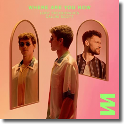 Cover: Lost Frequencies & Calum Scott - Where Are You Now
