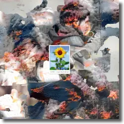 Cover: Leyya - Longest Day Of My Life