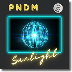 Cover: People Need Disco Music - Sunlight