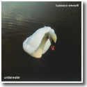 Cover:  Ludovico Einaudi - Underwater