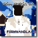 Cover:  Formwandla - Still Hangin' On