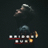 Cover: Thorsteinn Einarsson - Bridges Burn