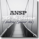 Cover: ANSP - Into The Unknown (Andrew Spencer Mix)