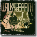 Cover: Walk Off The Earth - Somebody That I Used To Know