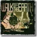 Cover:  Walk Off The Earth - Somebody That I Used To Know