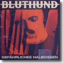 Cover:  Bluthund - Gefhrliches Halbdissen