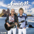 Cover: Amigos - Liebe siegt