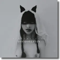 Cover: David Sylvian - Sleepwalkers