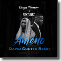 Cover: Goya Menor & Nektunez - Ameno Amapiano (You Wanna Bamba) (David Guetta Remix)