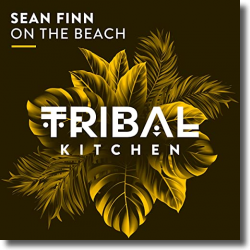 Cover: Sean Finn - On The Beach