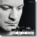 Cover: David Pfeffer - Riot In My Veins