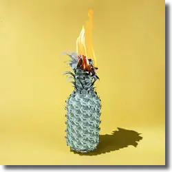 Cover: The Happy Fits - Under The Shade of Green