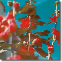 Cover: Chad Lawson - breathe