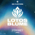 Cover: Die Flippers x Stereoact - Lotosblume