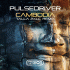 Cover: Pulsedriver