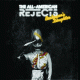 Cover: The All-American Rejects - Beekeeper's Daughter