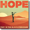 Cover: Fury In the Slaughterhouse - Better Times Will Come