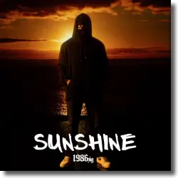 Cover: 1986zig - Sunshine