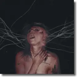 Cover: Hot Milk - A Call To The Void