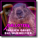 Cover:  Mallotzer - Täglich grüßt das Murmeltier