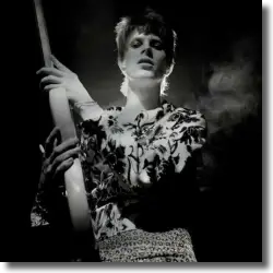 Cover: David Bowie - Rock'n'Roll Star!