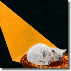 Cover: Joywave - Permanent Pleasure