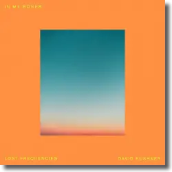 Cover: Lost Frequencies & David Kushner - In My Bones