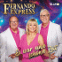 Cover: Fermando Express - Es war eine schne Zeit