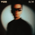 Cover: VIZE - Slow