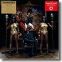 Cover: Santigold - Master Of My Make-Believe