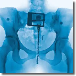 Cover: Lorde - Virgin