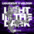 Cover: liquidfive x Veldor - Light In The Dark