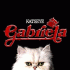 Cover: KATSEYE - Gabriela