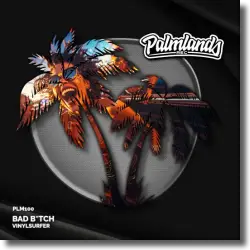 Cover: Vinylsurfer - Bad B*tch